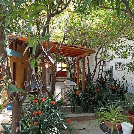 Aegina Town Traditional Lemon House Exterior foto